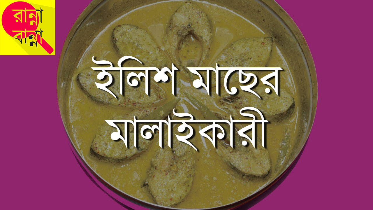 Ilish Machher Malai Curry - ইলিশ মাছের মালাইকারী